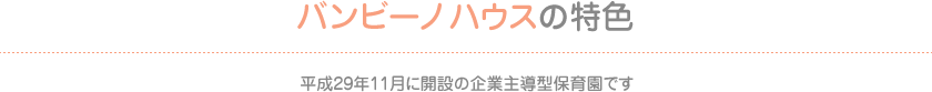 バンビーノハウスの特色